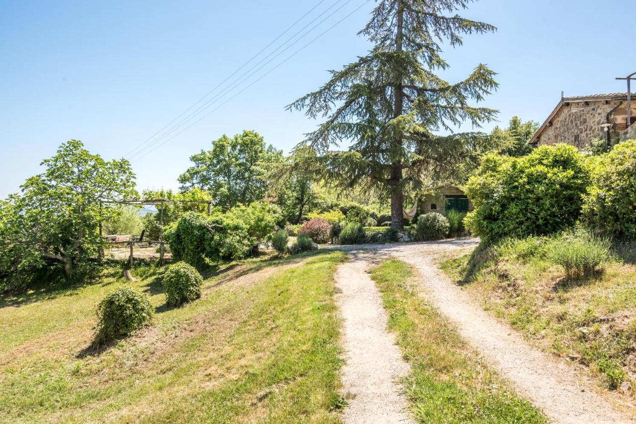 Appartamento Gemma Bianca-Tavoleto Castiglione dʼOrcia Dış mekan fotoğraf