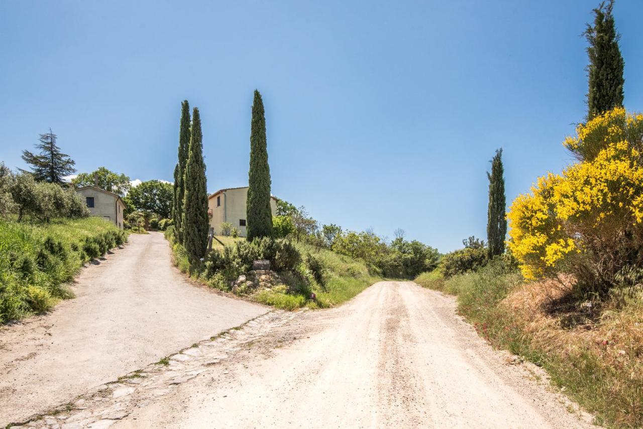 Appartamento Gemma Bianca-Tavoleto Castiglione dʼOrcia Dış mekan fotoğraf